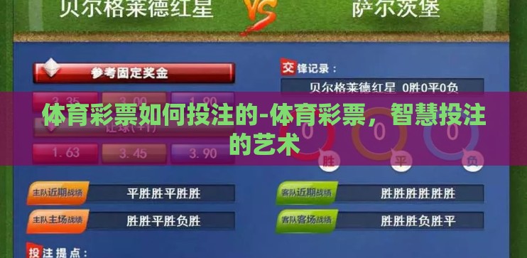 体育彩票如何投注的-体育彩票，智慧投注的艺术
