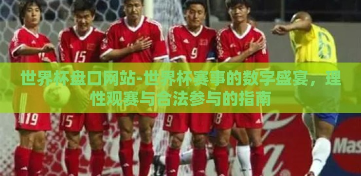 世界杯盘口网站-世界杯赛事的数字盛宴，理性观赛与合法参与的指南