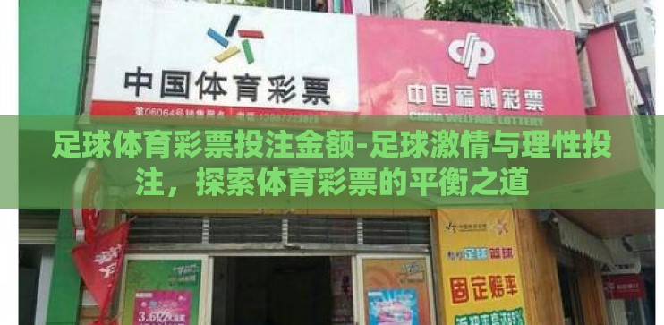 足球体育彩票投注金额-足球激情与理性投注,探索体育彩票的平衡之道 足球体育彩票投注金额-足球激情与理性投注,探索体育彩票的平衡之道