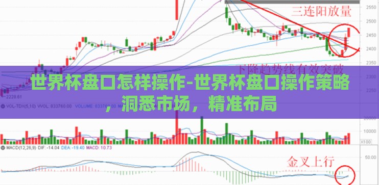 世界杯盘口怎样操作-世界杯盘口操作策略，洞悉市场，精准布局