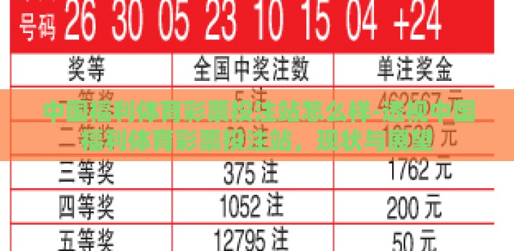 中国福利体育彩票投注站怎么样-透视中国福利体育彩票投注站，现状与展望