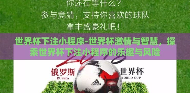 世界杯下注小程序-世界杯激情与智慧，探索世界杯下注小程序的乐趣与风险