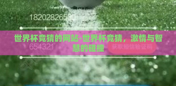 世界杯竞猜的网站-世界杯竞猜，激情与智慧的碰撞