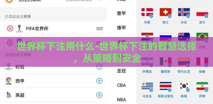 世界杯下注用什么-世界杯下注的智慧选择,从策略到安全 世界杯下注用什么-世界杯下注的智慧选择,从策略到安全