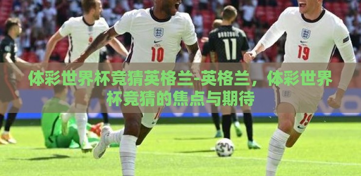 体彩世界杯竞猜英格兰-英格兰，体彩世界杯竞猜的焦点与期待