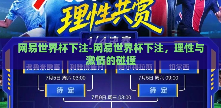 网易世界杯下注-网易世界杯下注，理性与激情的碰撞