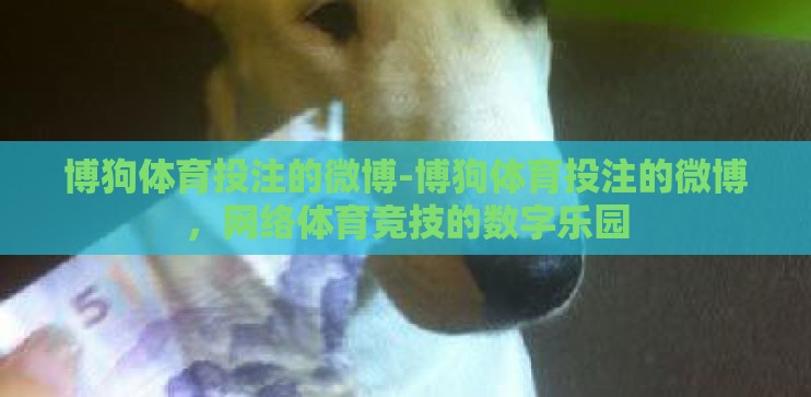 博狗体育投注的微博-博狗体育投注的微博，网络体育竞技的数字乐园