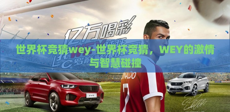 世界杯竞猜wey-世界杯竞猜，WEY的激情与智慧碰撞