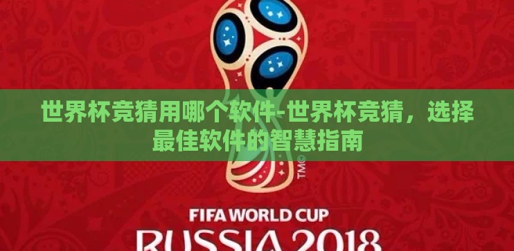 世界杯竞猜用哪个软件-世界杯竞猜，选择最佳软件的智慧指南