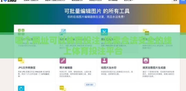 哪个网址可以体育投注-探索合法安全的线上体育投注平台