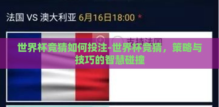 世界杯竞猜如何投注-世界杯竞猜，策略与技巧的智慧碰撞