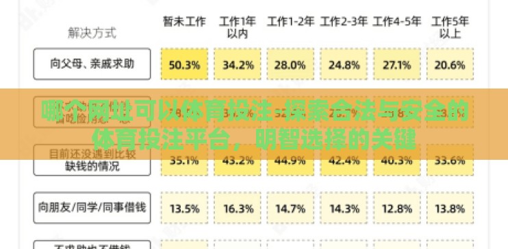 哪个网址可以体育投注-探索合法与安全的体育投注平台，明智选择的关键