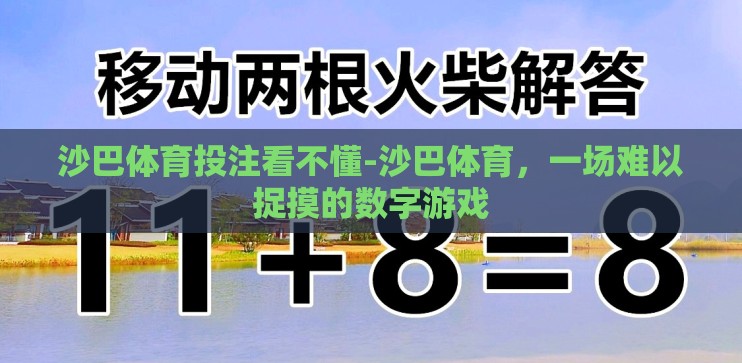 沙巴体育投注看不懂-沙巴体育，一场难以捉摸的数字游戏