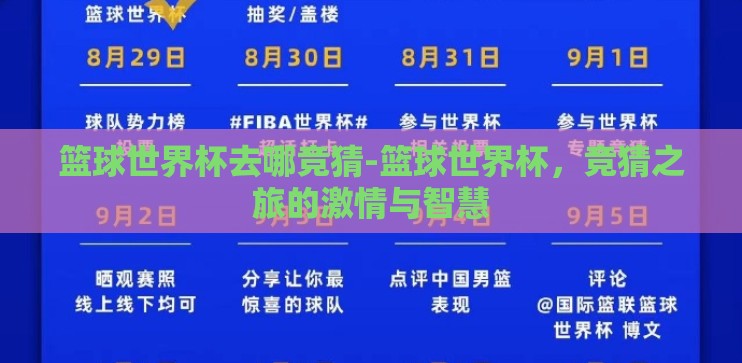 篮球世界杯去哪竞猜-篮球世界杯，竞猜之旅的激情与智慧