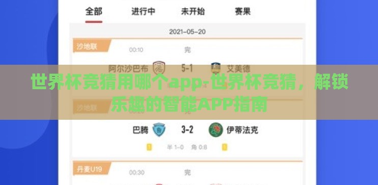 世界杯竞猜用哪个app-世界杯竞猜，解锁乐趣的智能APP指南
