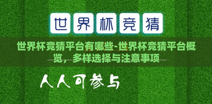 世界杯竞猜平台有哪些-世界杯竞猜平台概览，多样选择与注意事项