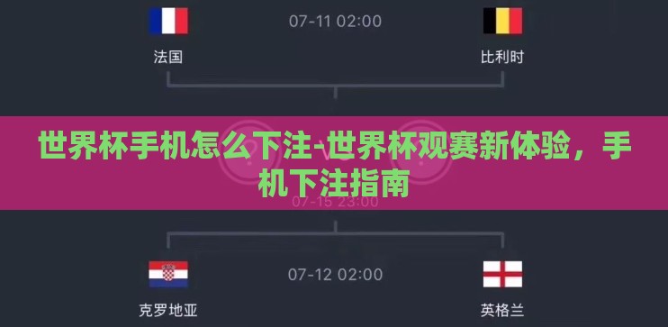 世界杯手机怎么下注-世界杯观赛新体验，手机下注指南
