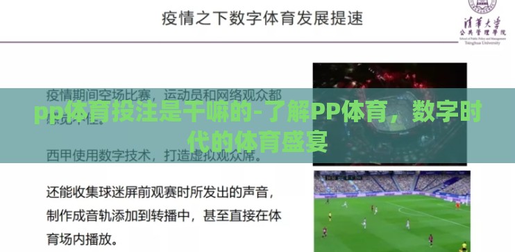pp体育投注是干嘛的-了解PP体育，数字时代的体育盛宴