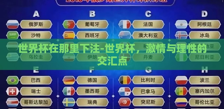 世界杯在那里下注-世界杯，激情与理性的交汇点