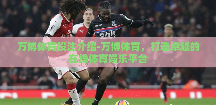 万博体育投注介绍-万博体育，打造卓越的在线体育娱乐平台