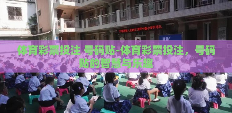 体育彩票投注 号码贴-体育彩票投注，号码贴的智慧与乐趣