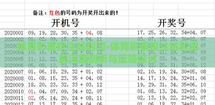 体育彩票投注站利润-体育彩票投注站利润的深度剖析与策略探讨