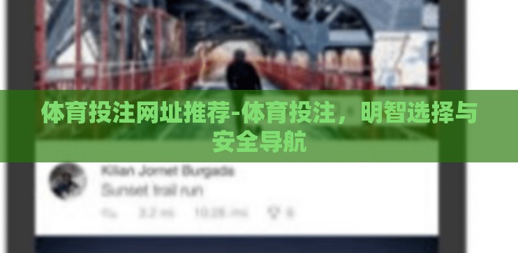体育投注网址推荐-体育投注，明智选择与安全导航