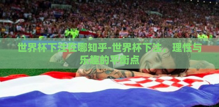 世界杯下注在哪知乎-世界杯下注，理性与乐趣的平衡点
