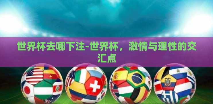 世界杯去哪下注-世界杯，激情与理性的交汇点