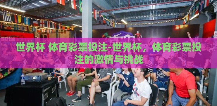 世界杯 体育彩票投注-世界杯，体育彩票投注的激情与挑战