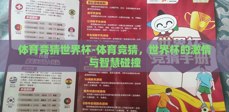 体育竞猜世界杯-体育竞猜，世界杯的激情与智慧碰撞