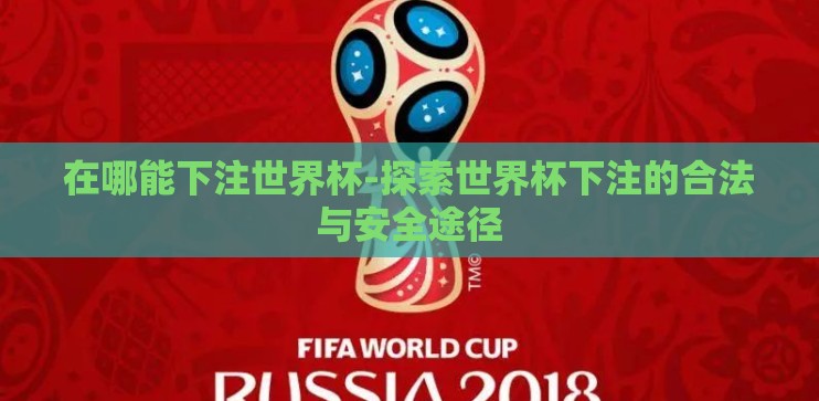 在哪能下注世界杯-探索世界杯下注的合法与安全途径