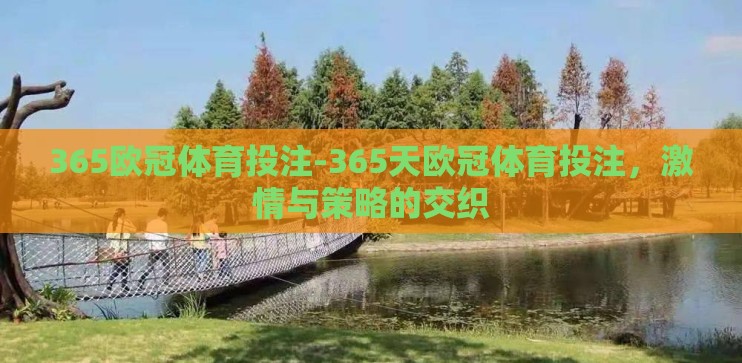 365欧冠体育投注-365天欧冠体育投注，激情与策略的交织