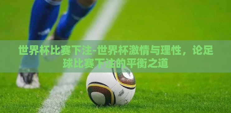 世界杯比赛下注-世界杯激情与理性，论足球比赛下注的平衡之道