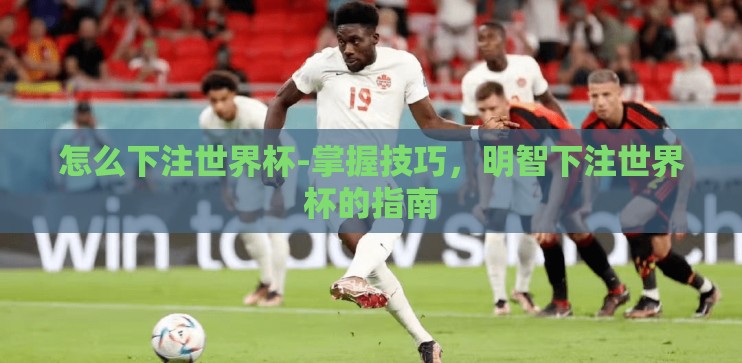 怎么下注世界杯-掌握技巧，明智下注世界杯的指南