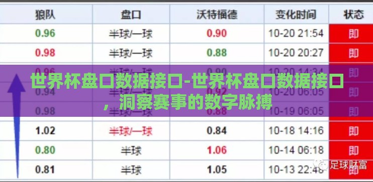 世界杯盘口数据接口-世界杯盘口数据接口，洞察赛事的数字脉搏