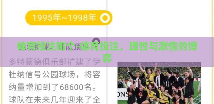 体育投注哪个-体育投注,理性与激情的博弈 体育投注哪个-体育投注,理性与激情的博弈